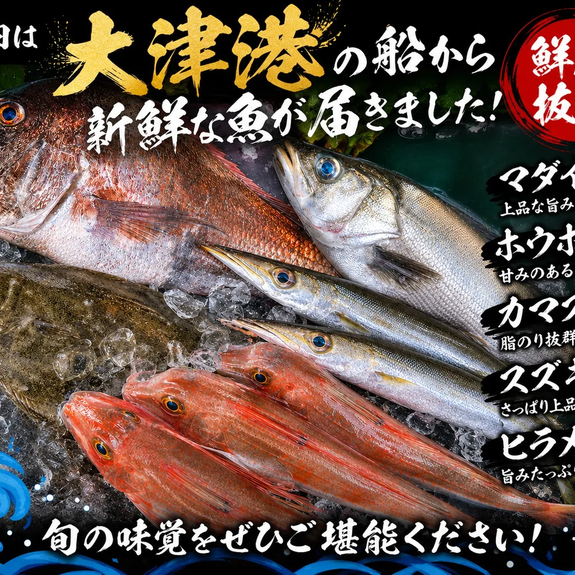 【本日のおすすめ🐟】