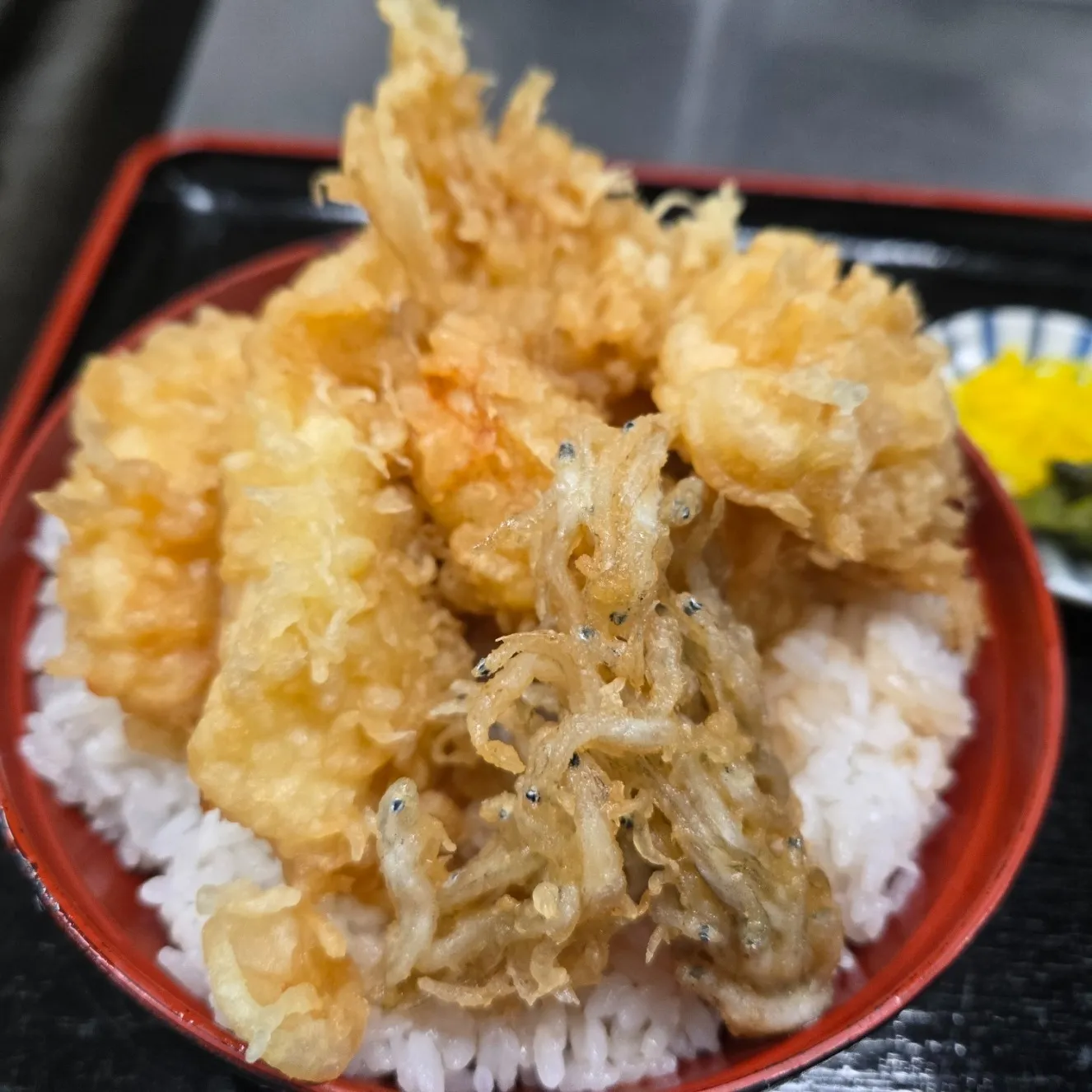 【本日のおすすめ🐟】