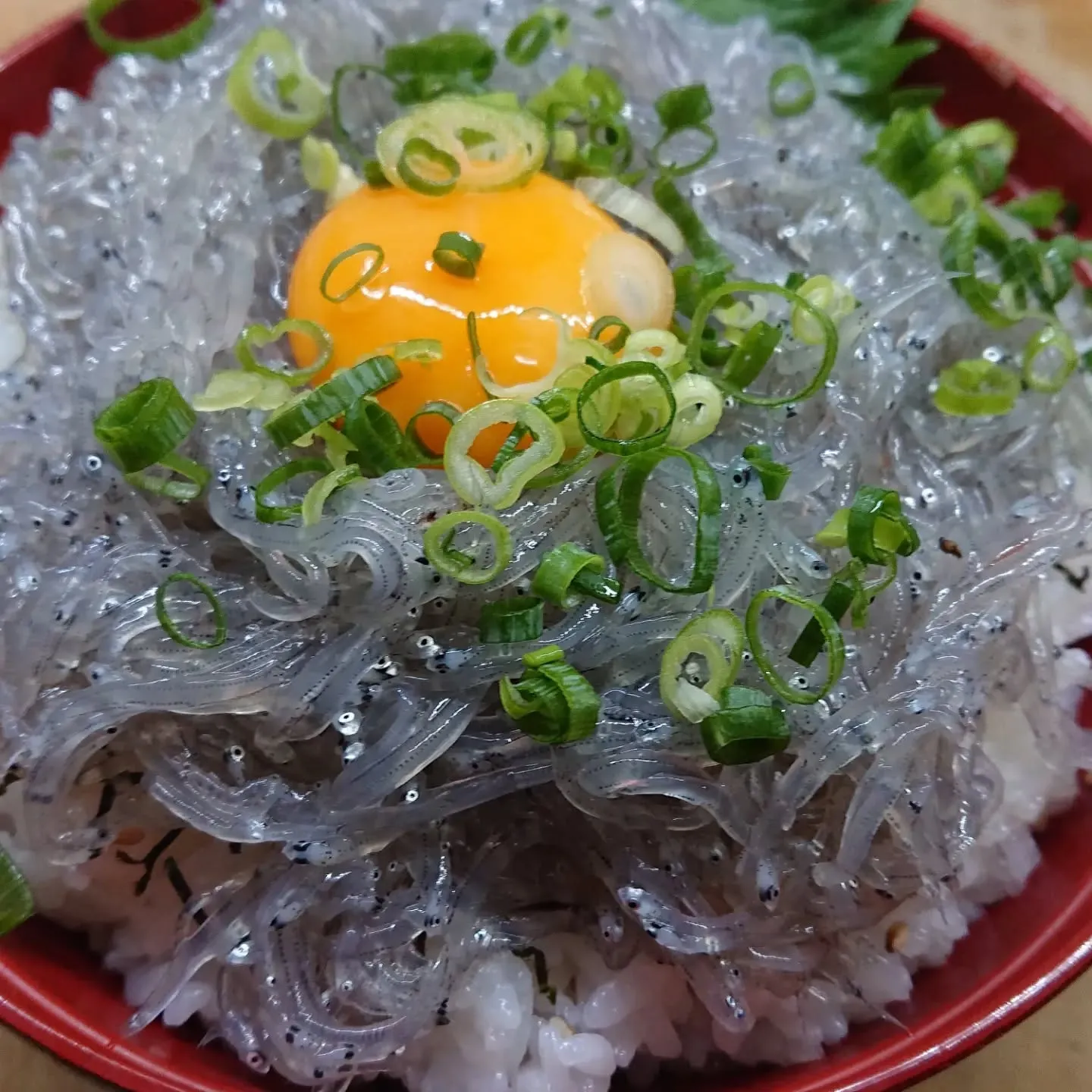 海鮮と牡蠣を味わい尽くす茨城県北茨城市で旬の絶品グルメ体験入門