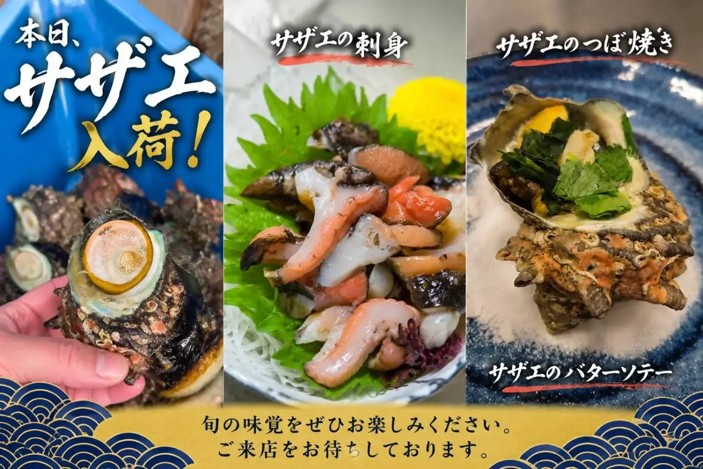 📣 本日、サザエ入荷しました！🐚✨