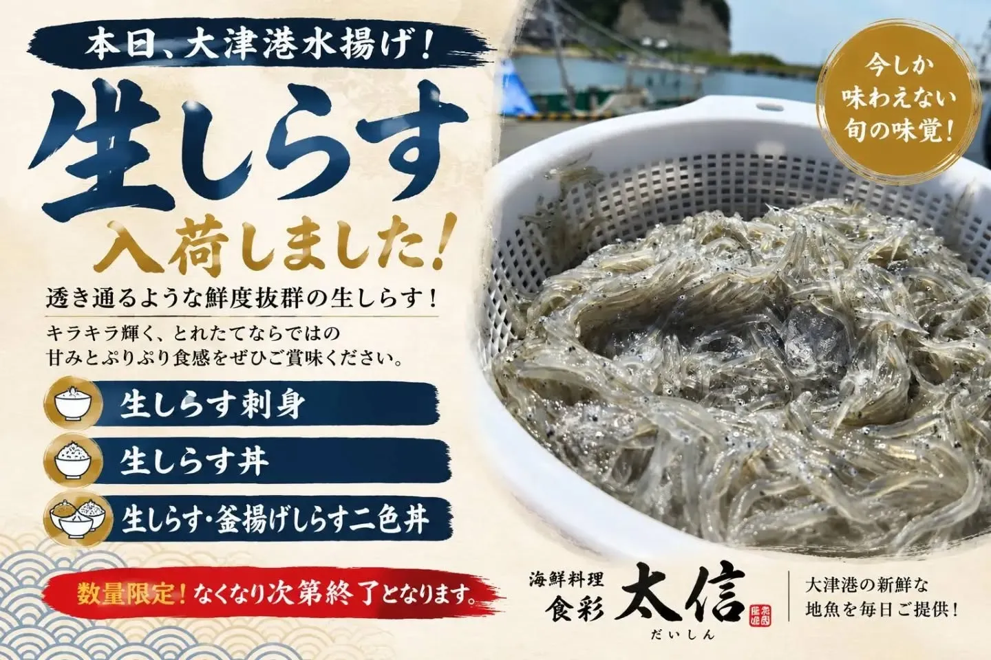 ✨本日、大津港水揚げ！✨
