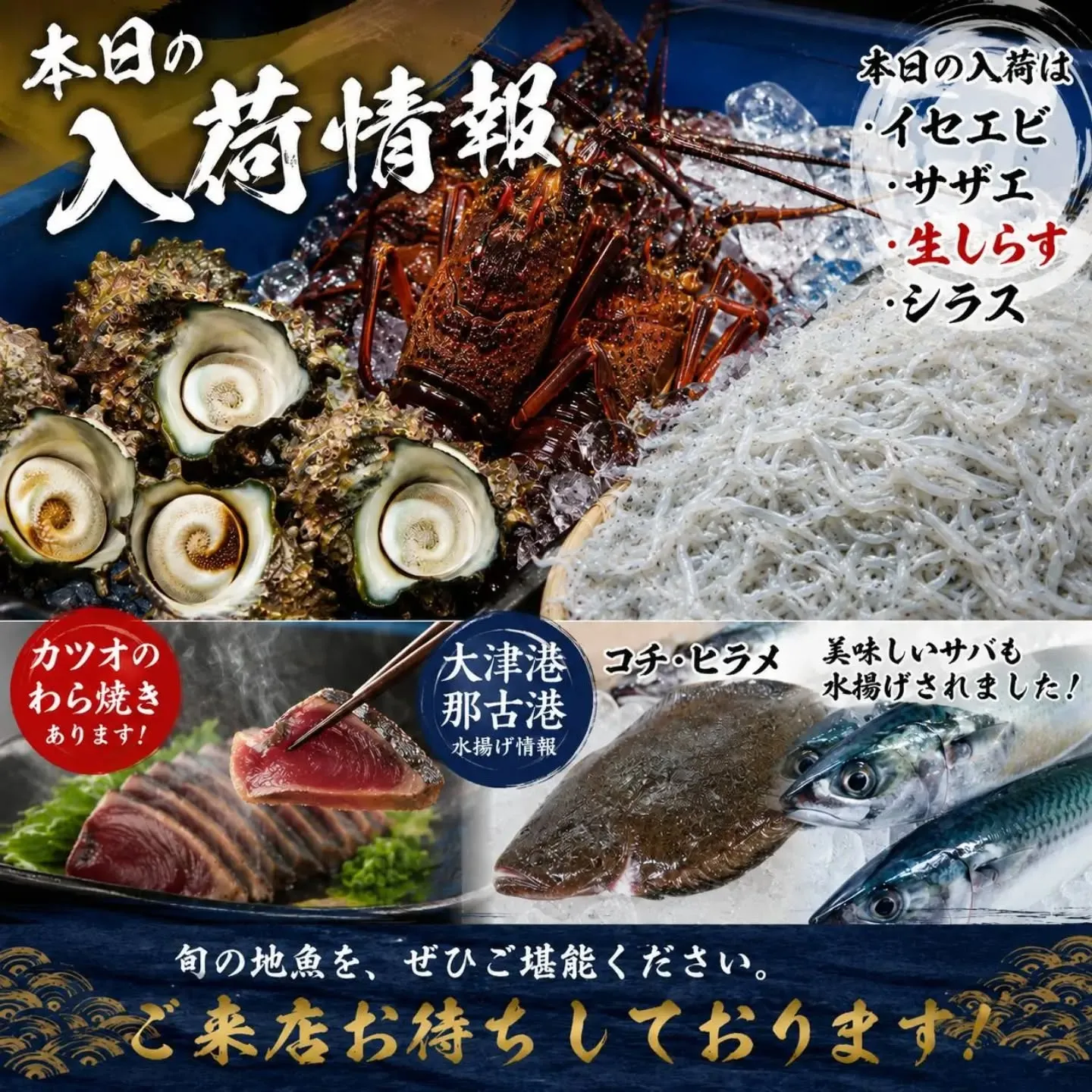 📢 本日の入荷情報！