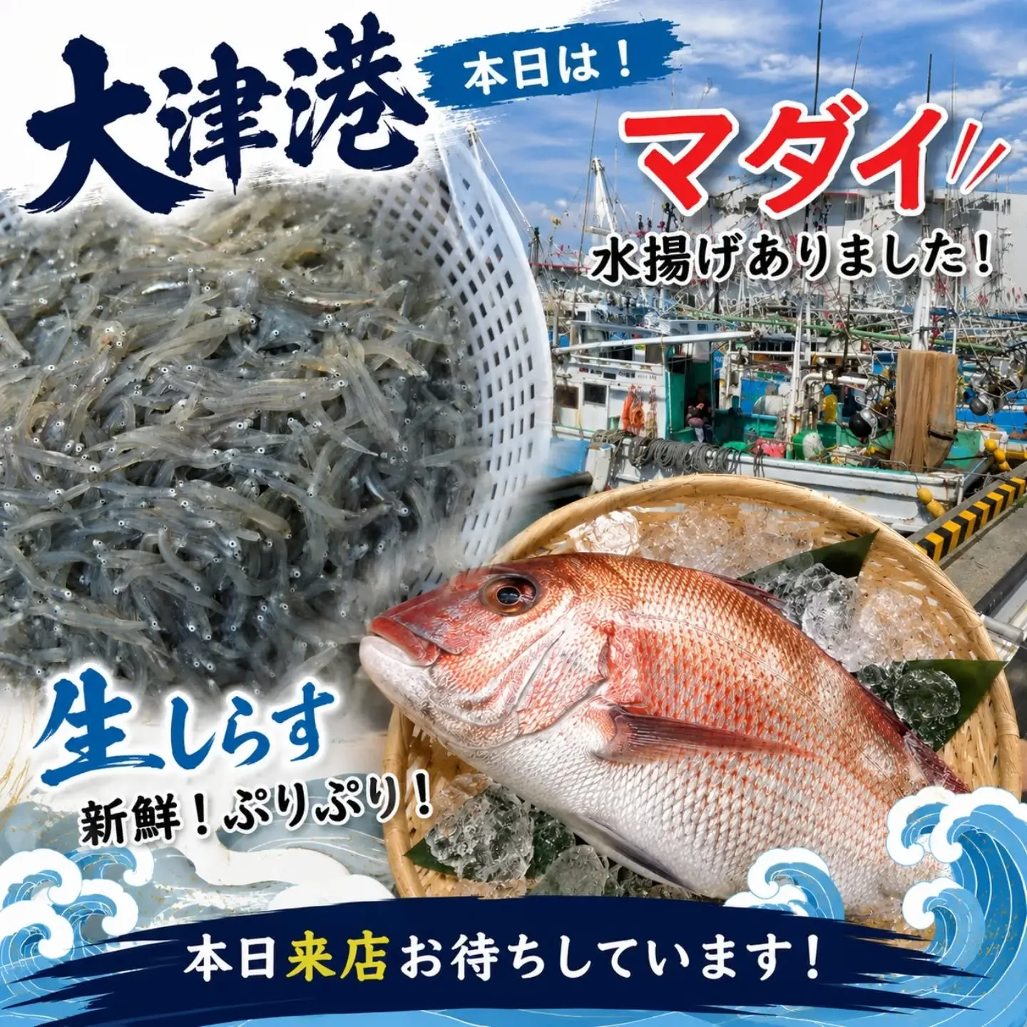 🌊 本日も大津港から新鮮な海の幸が届きました！ 🌊