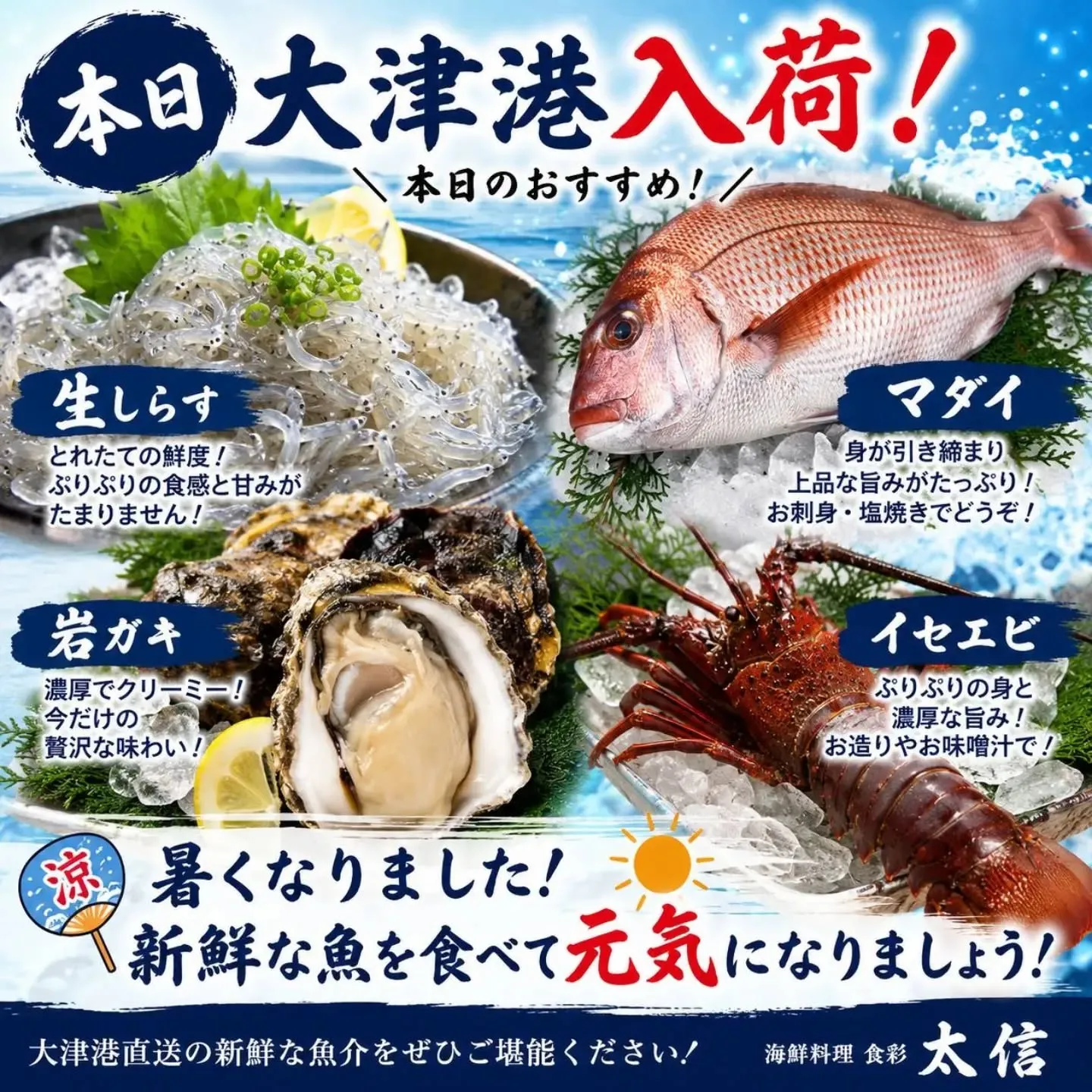 【本日、大津港入荷のお知らせ】