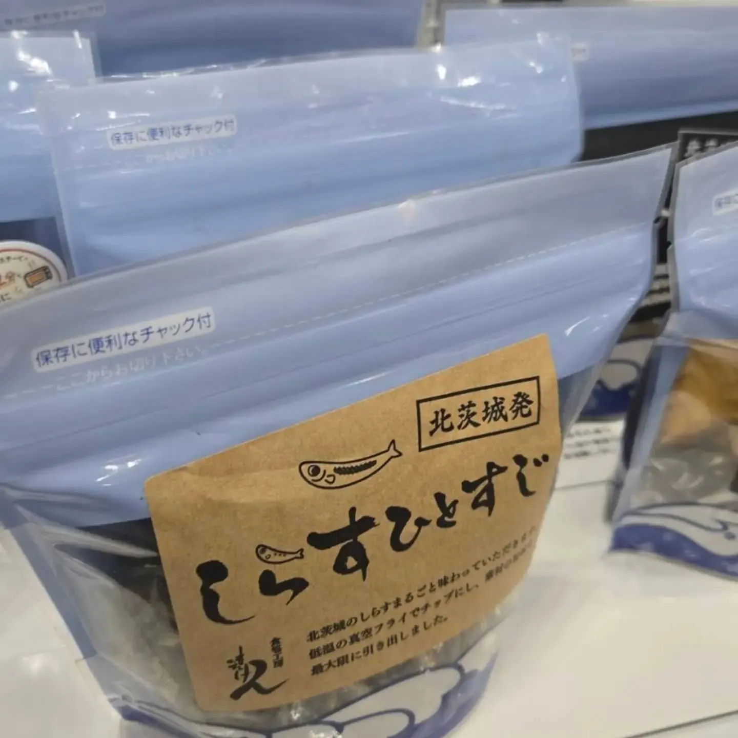 🐟 本日、東京ビッグサイトで開催中！ 🐟