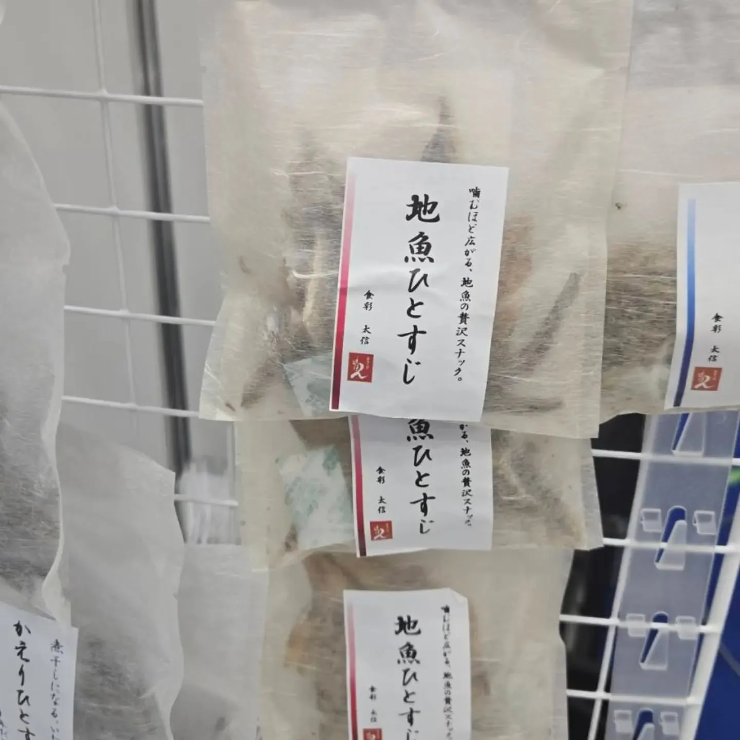 🐟 本日、東京ビッグサイトで開催中！ 🐟