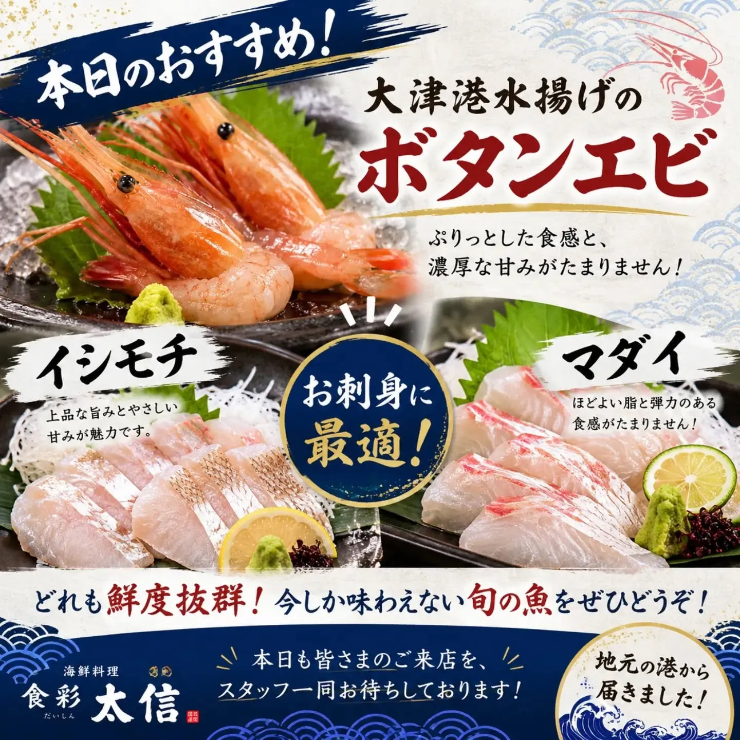 🐟✨ 本日のおすすめ!