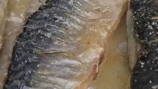 【本日のおすすめ】大津港直送の絶品サバ🐟